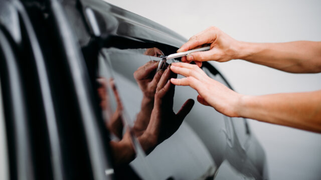 specialist applying tint film to car window